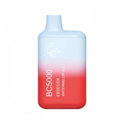 Watermelon Ice BC5000 Disposable Vape Kit