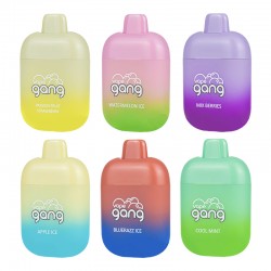 Vape Gang Max Disposable Vape Kit 6000 Puffs 13ml