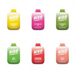 Niko Bar Disposable Vape Kit 6000 Puffs 13ml