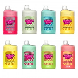 Bodega Boyz 8000 Disposable Vape 17ml