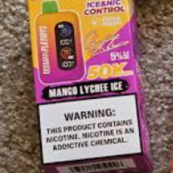 buy rodman playoffs 50000