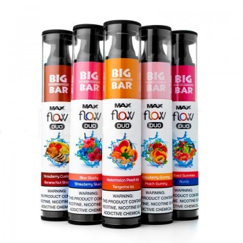 Big Bar Max Flow Duo Disposable Vape Kit 4000 Puffs 12ml