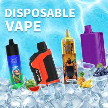 Best Tobacco Flavor Disposable Vapes