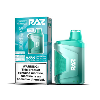 raz vape spearmint Spearmint Geek Vape Raz CA6000 Disposable Vape Kit