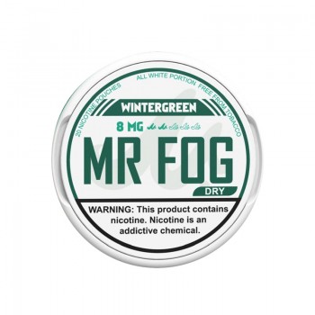 Mr Fog Dry Wintergreen Nicotine Pouches (20 Pouches/Can) | Vapesourcing