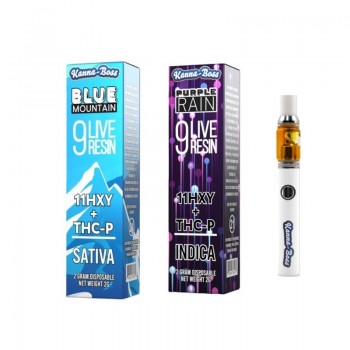 Honeyroot Extrax Live Resin Disposable Vape Kit 2g | Vapesourcing