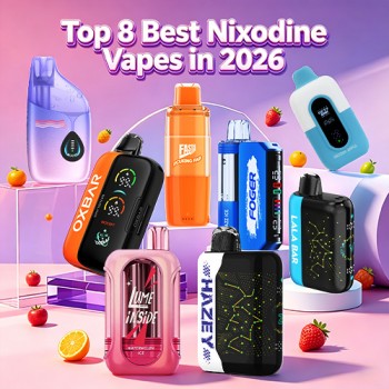 Top 8 Best Nixodine Vapes: The Future of Tobacco-Free Vaping in 2026