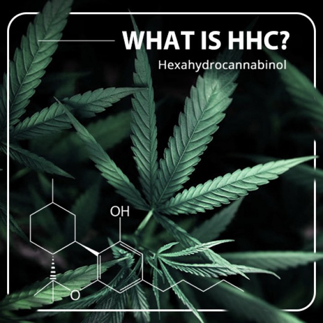 What Is HHC and Is It Better Than THC?