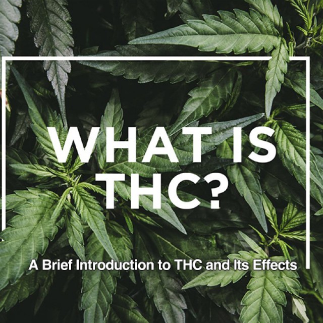 What is THC? A Brief Introduction to THC and Its Effects