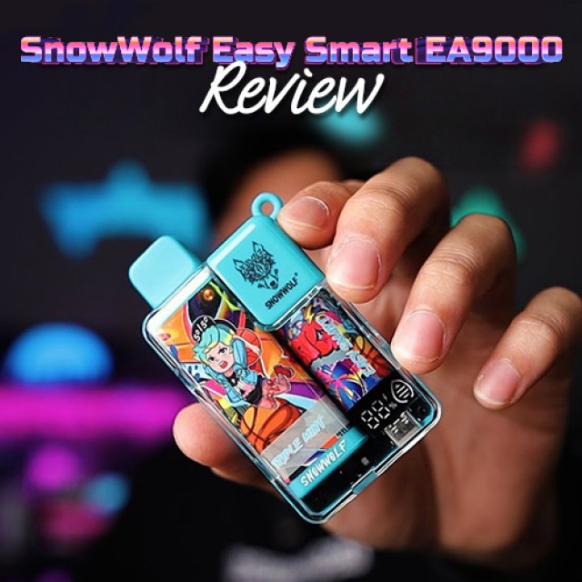 SnowWolf Easy Smart EA9000 Review