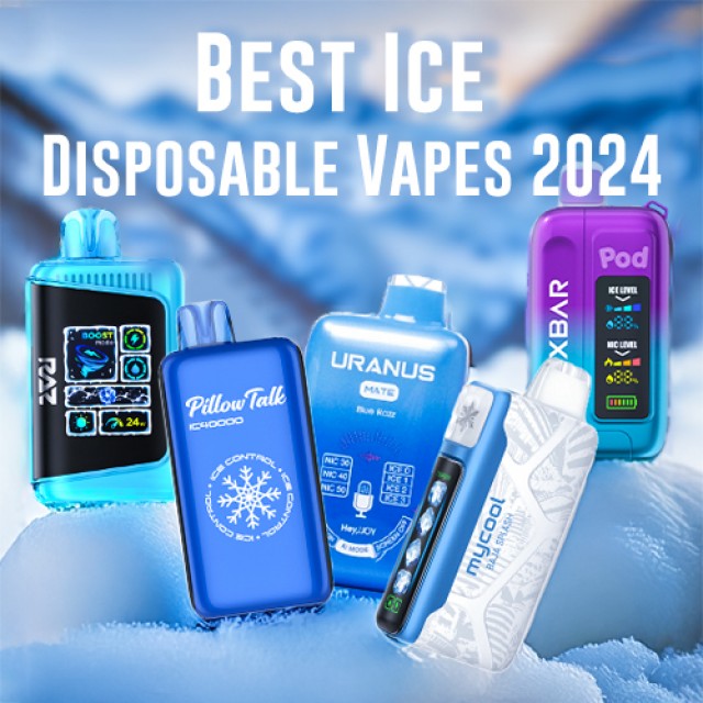 2024 Best Ice Disposable Vapes Review