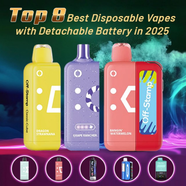 Top 8 Best Disposable Vapes with Detachable Battery in 2025