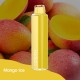 Coolplay X8 Disposable Pod Device Mango Ice