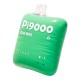 Cool Mint Elf Bar Pi9000