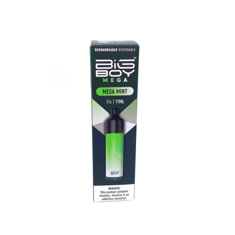 Big Boy Mega Rechargeable Disposable-mega mint