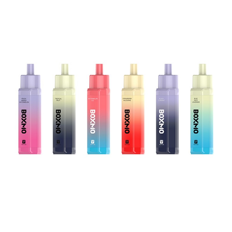 Vaptex Boxmo Rechargeable Disposable Vape Kit 5000 Puffs 13ml