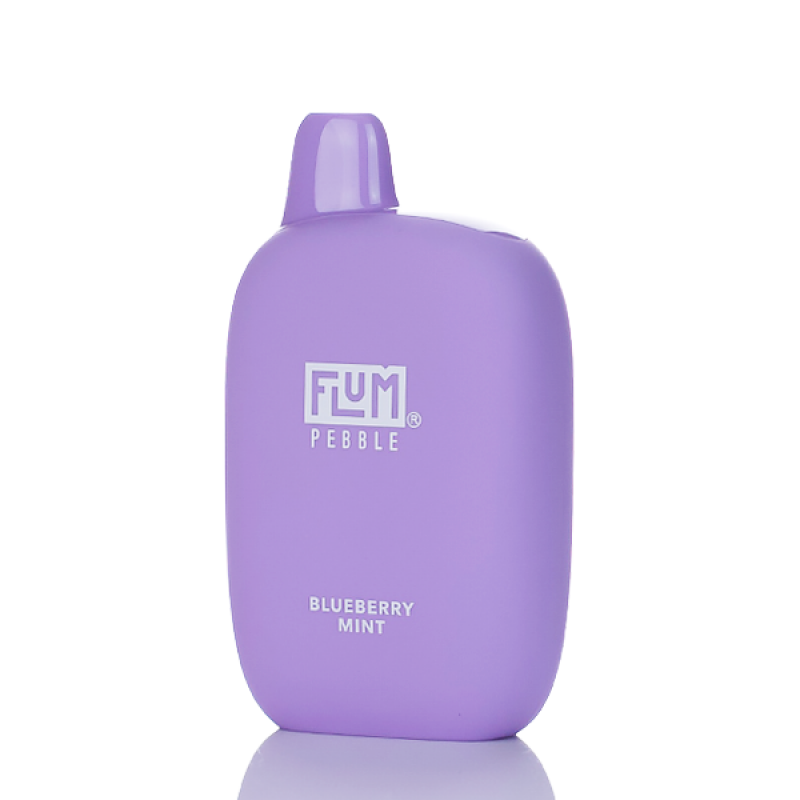 flum vape rechargeable blueberry mint