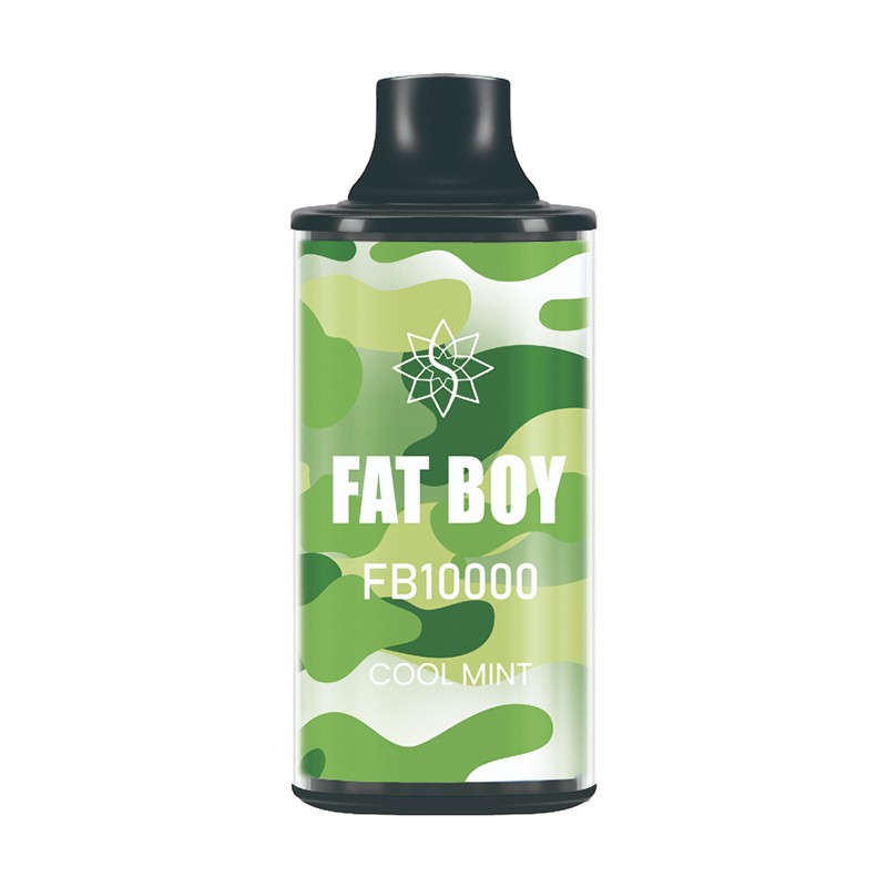 cool mint Fat Boy FB10000