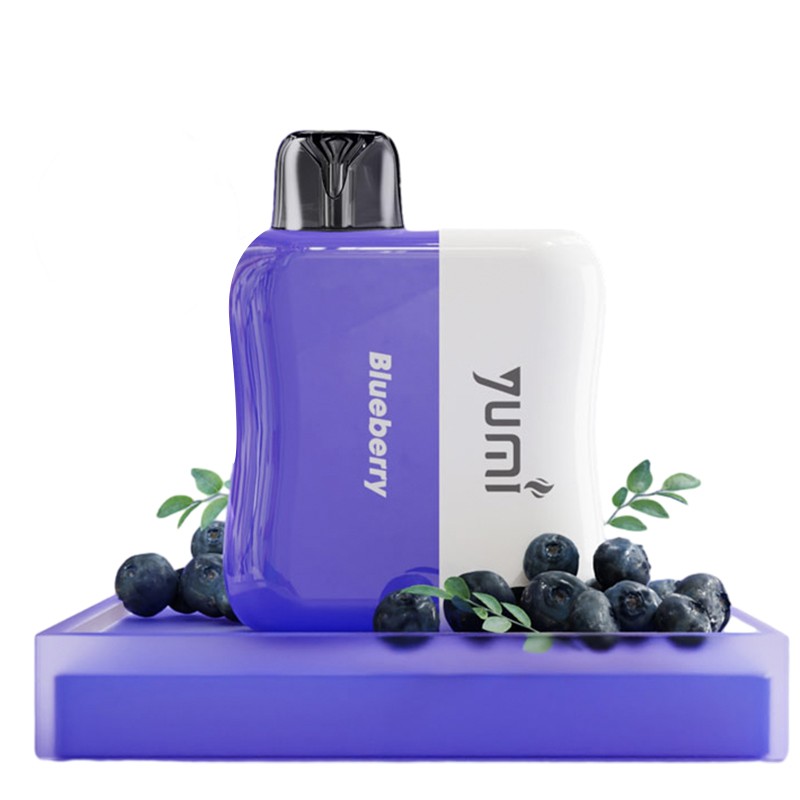 blueberry Yumi DC5000