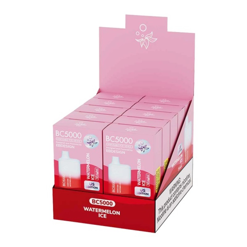 Watermelon Ice BC5000 10pcs