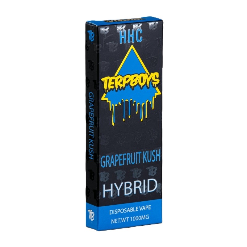 Terpboys HHC Disposable Vape Kit 1G | Vapesourcing