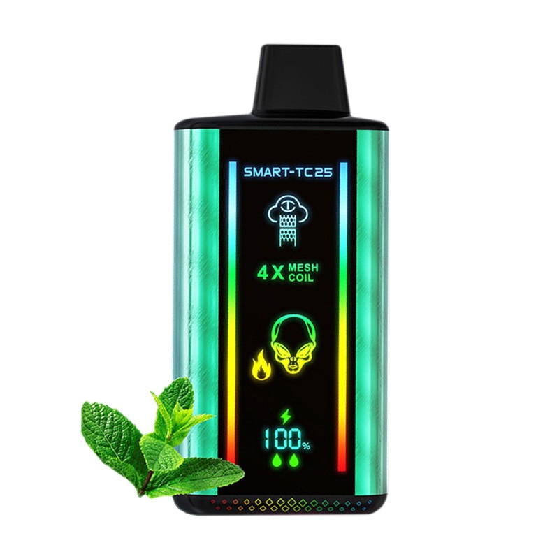 miami mint Kangvape Onee Stick Smart TC25K