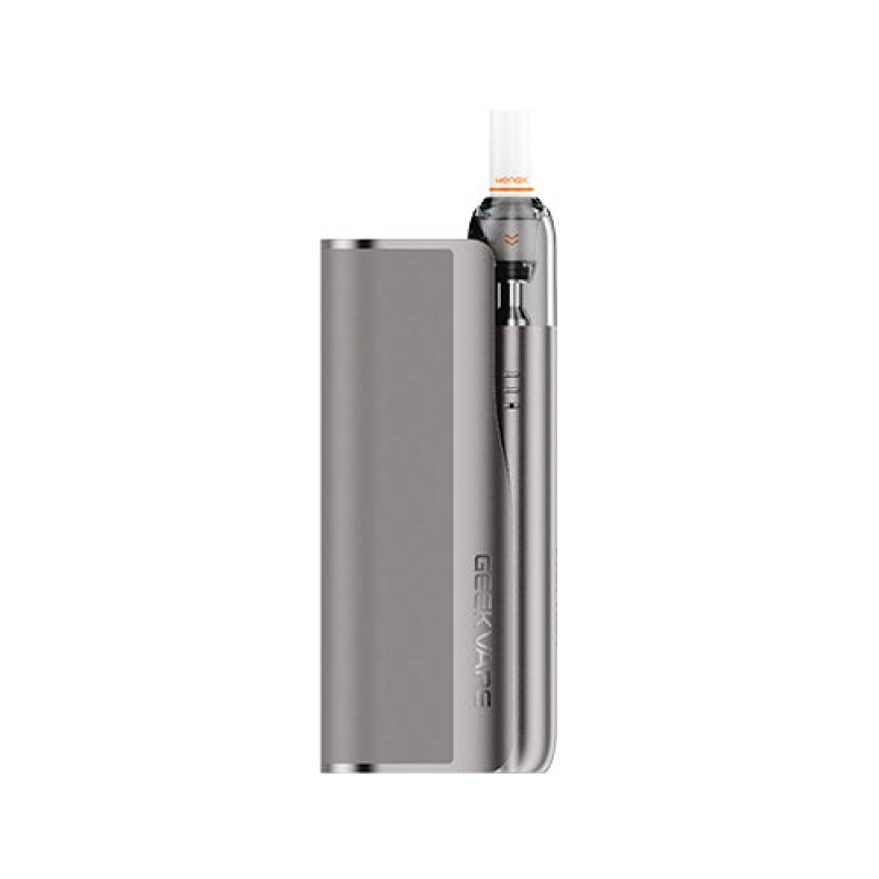 carbon gray Geekvape Wenax M Starter Kit