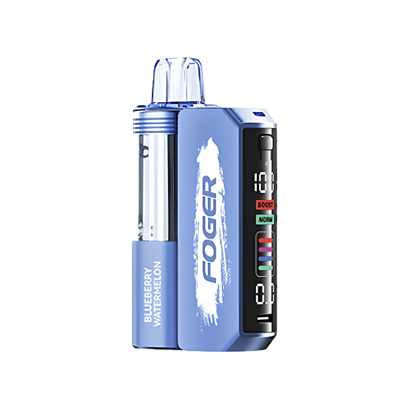 blueberry watermelon Foger Switch Pro