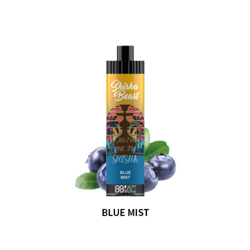 blue mist RandM Shisha Beast 20K