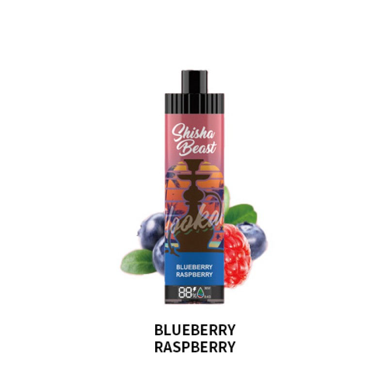 blueberry raspberry RandM Shisha Beast 20K