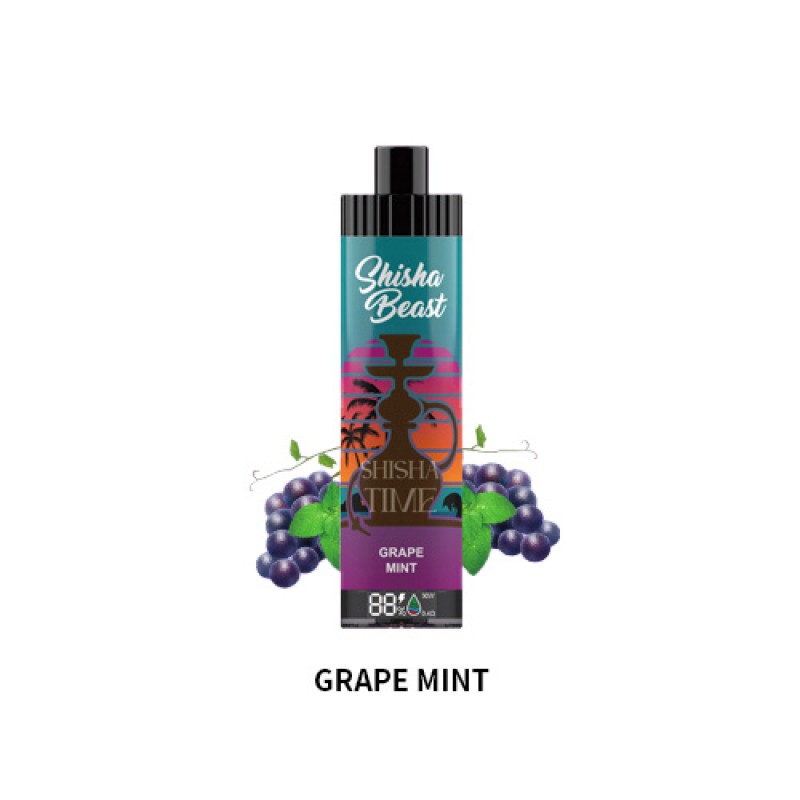 grape mint RandM Shisha Beast 20K
