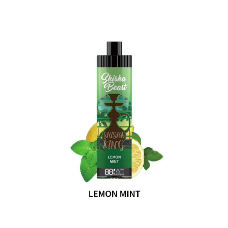 lemon mint RandM Shisha Beast 20K