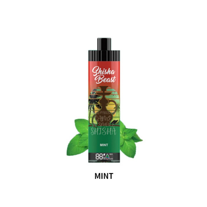 mint RandM Shisha Beast 20K