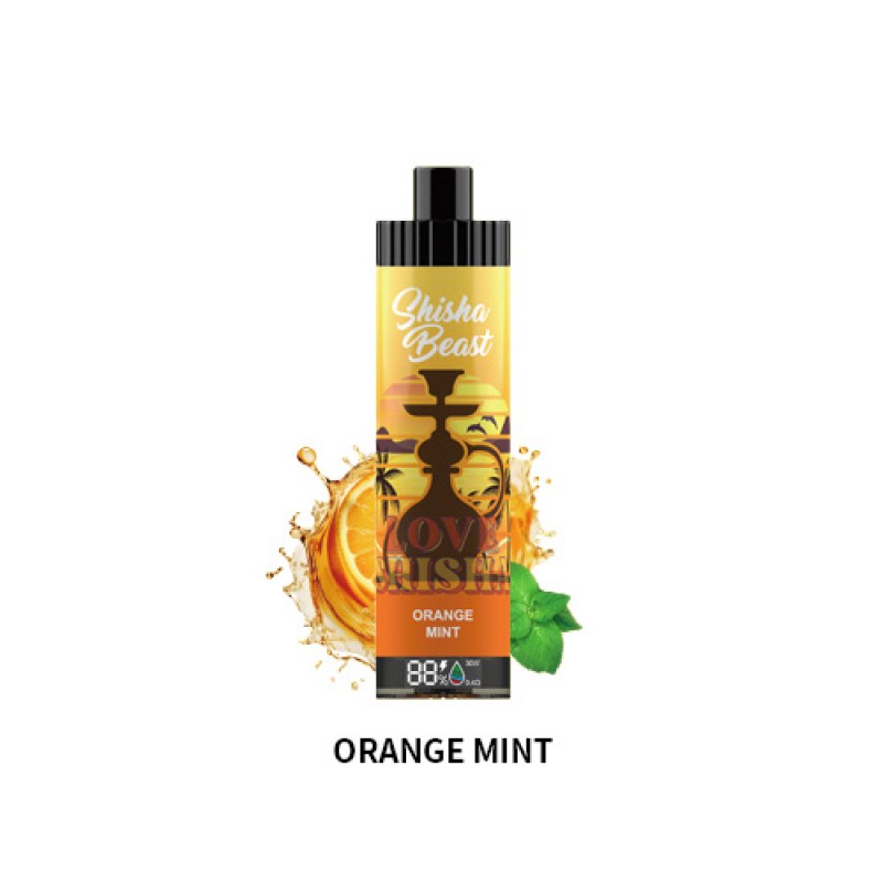 orange mint RandM Shisha Beast 20K