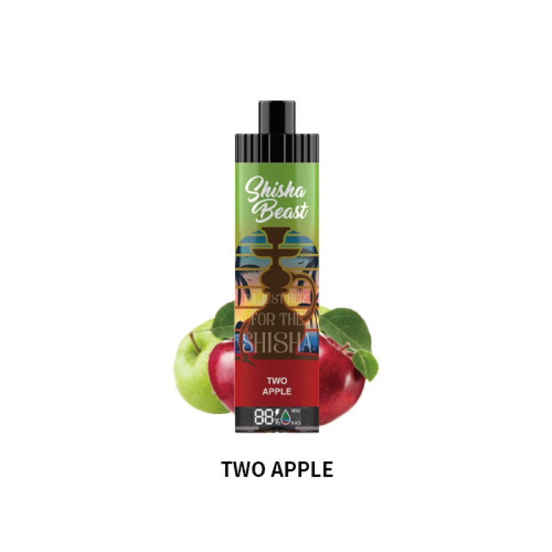 two apple RandM Shisha Beast 20K