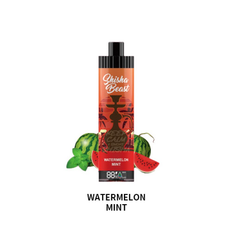 watermelon mint RandM Shisha Beast 20K