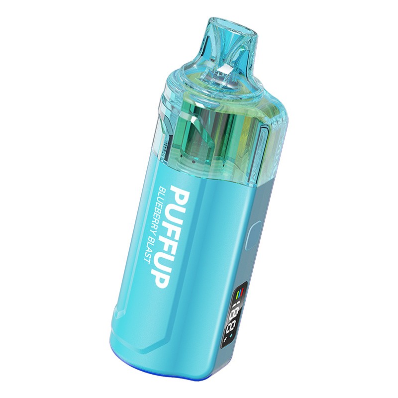 blueberry ice puffup 25000