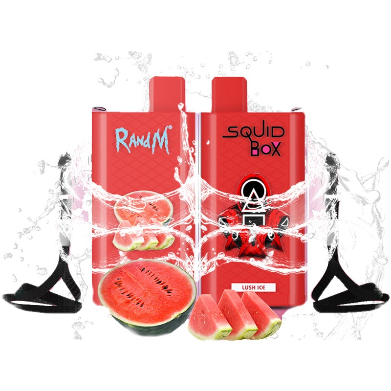 R And M Squid Box Rechargeable Disposable Kit 5200 Puffs 12ml | Vapesourcing