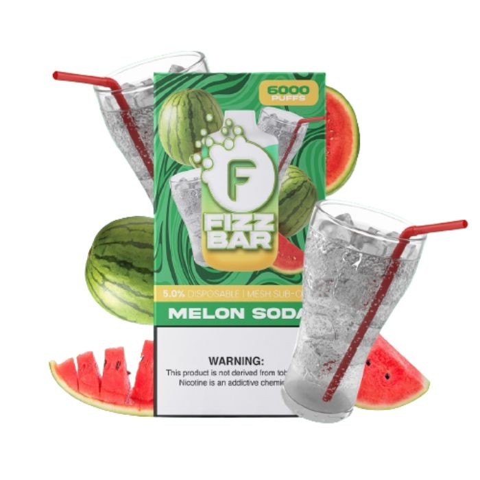 FIZZ Bar Disposable Vape Kit 6000 Puffs 14ml Vapesourcing