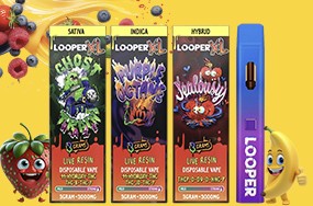 Looper XL Melted Series