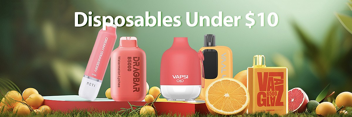 Disposable Vapes Under $10