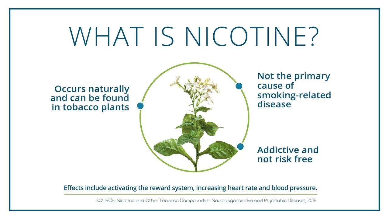 can you overdose on nicotine