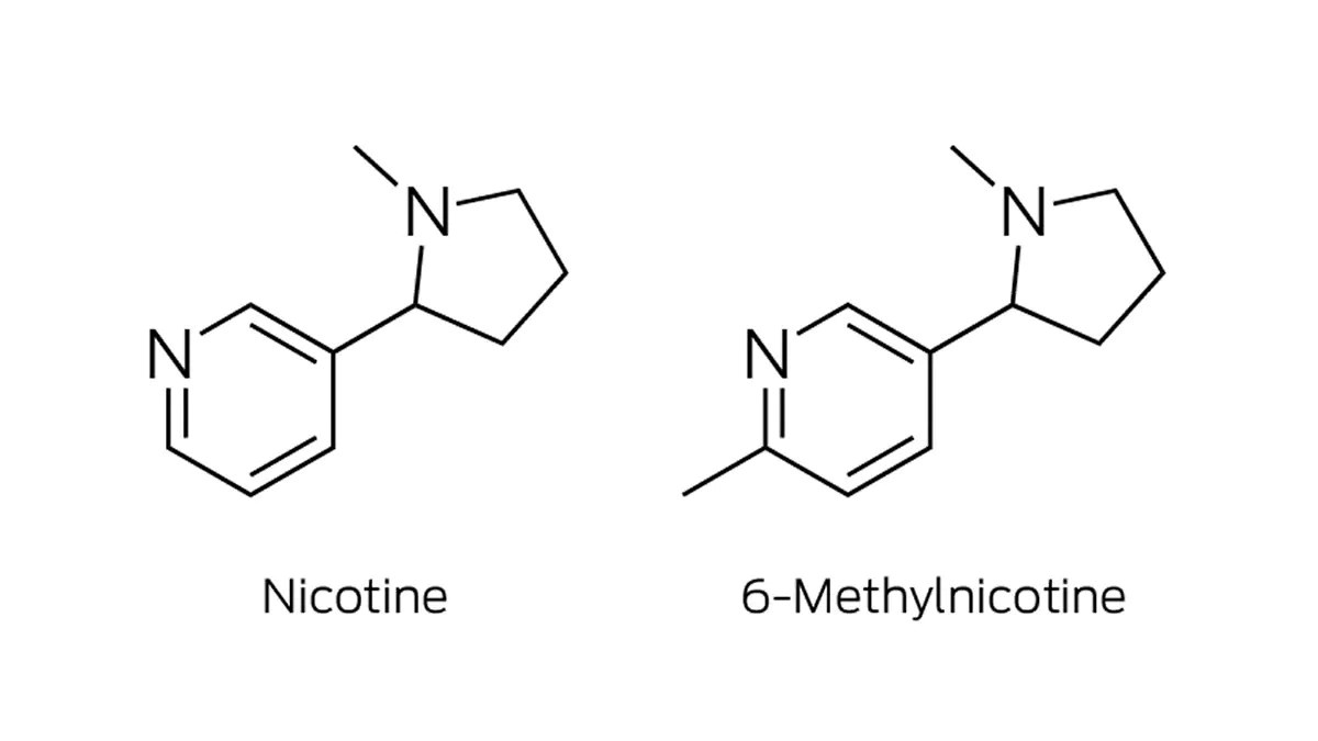 what is nixodine what is nixodine