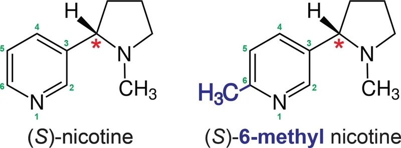 what is nicotine analogue what is nicotine analogue