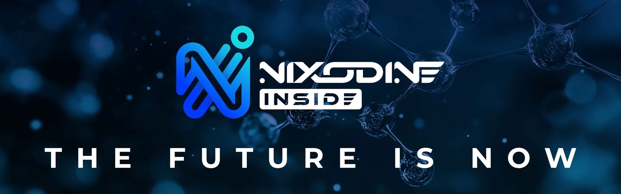 nixodine trademark logo nixodine trademark logo