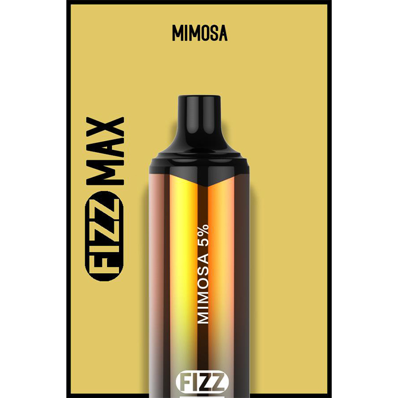 Fizz Max Disposable Vape Kit 3000 Puffs 10ml Vapesourcing