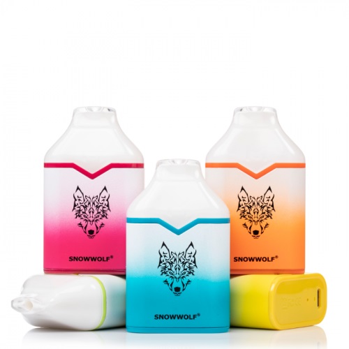 Snowwolf MINO 6500 Puffs Rechargeable Disposable Vape Kit 16ml