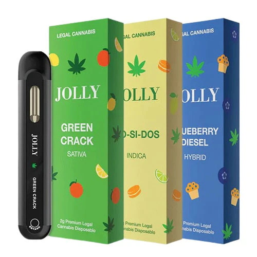buy Jolly CBD Delta Blend Disposable Vape Kit