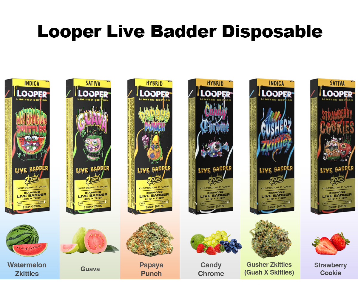 cheap Looper Live Badder