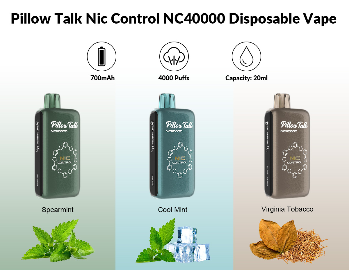 pillow talk nic control nc40000 for sale